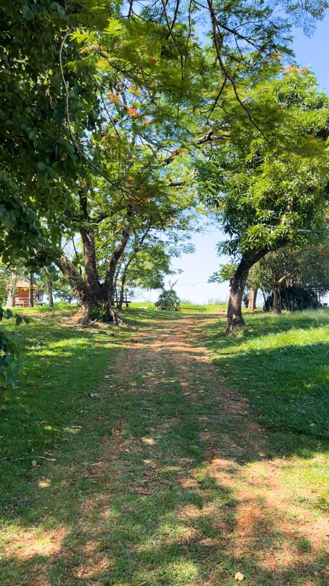 Hotel Fazenda Ararita Pôrto Feliz Dış mekan fotoğraf