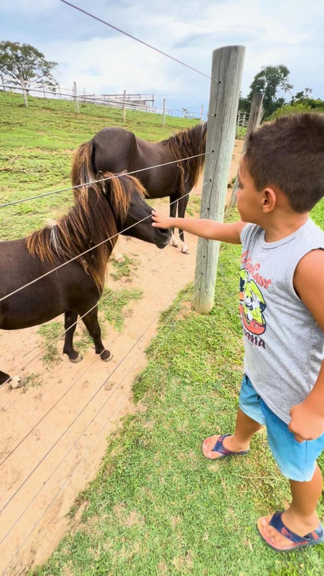 Hotel Fazenda Ararita Pôrto Feliz Dış mekan fotoğraf